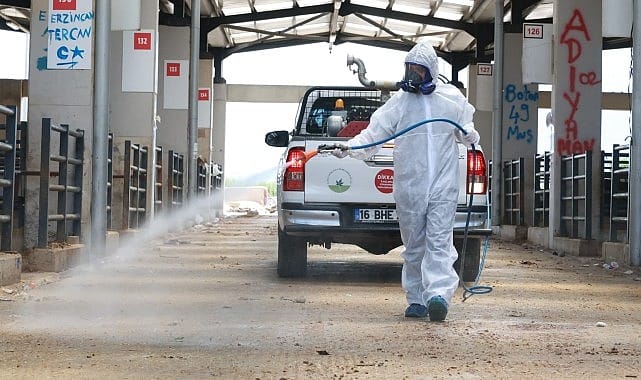 Osmangazi’de Kurban Pazarları İlaçlanarak Dezenfekte Edildi