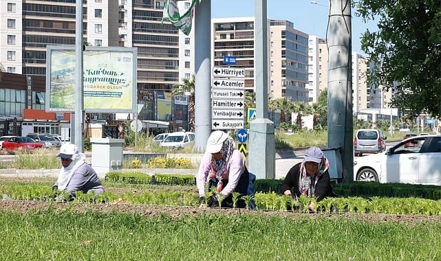 Bu Yaz Osmangazi’de Çiçek Kokuları Eksik Olmayacak
