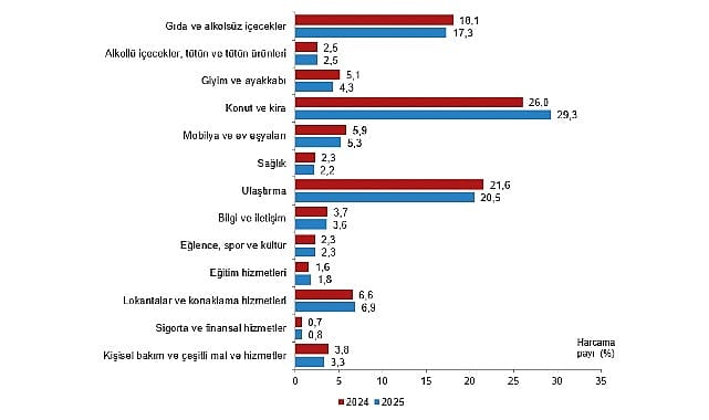 Hanehalkı Tüketim Harcaması