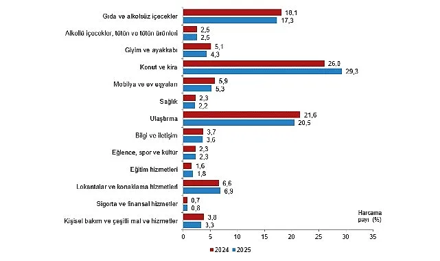 Hanehalkı Tüketim Harcaması