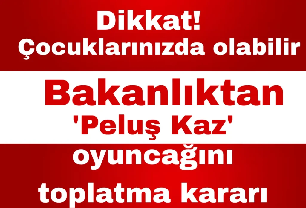 Dikkat! Çocuklarınızda olabilir: Bakanlıktan ‘Peluş Kaz’ oyuncağını toplatma kararı