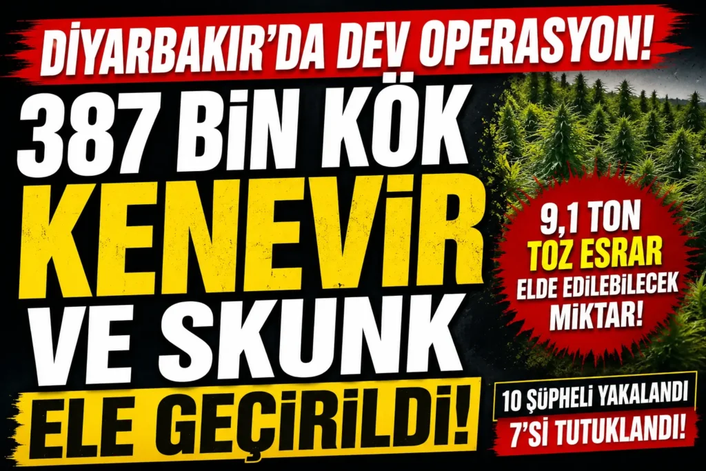 Diyarbakır’da dev uyuşturucu operasyonu! 387 bin kök kenevir ve skunk ele geçirildi