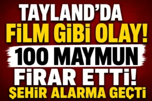 Tayland’da Film Gibi Olay! Yaklaşık 100 Maymun Firar Etti Şehir Alarma Geçti